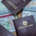 Más de una tonelada de marihuana incautada en vías del Quindío