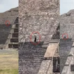 Delfín rosado cautiva al mundo: lo captan jugando en el Amazonas